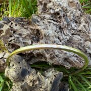 9ct gold-bangle-hammered-twisted-top-sandrakernsjewellery