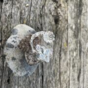 bee-flower-silver-brooch-back-sandrakernsjewellery