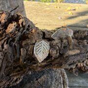 leaf-imprint-silver-earrings-stud-sandrakernsjewellery