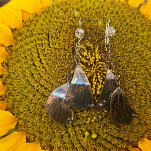 real-butterfly-wing-earrings-silver-patinated-front-sandrakernsjewellery